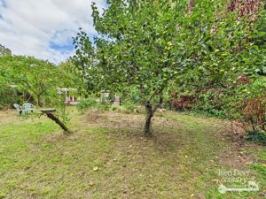 Garden- click for photo gallery